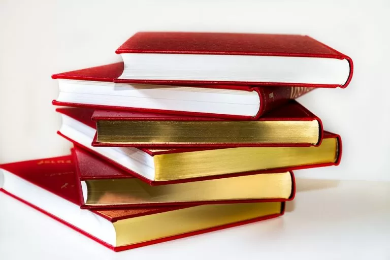 ENSINO FUNDAMENTAL I